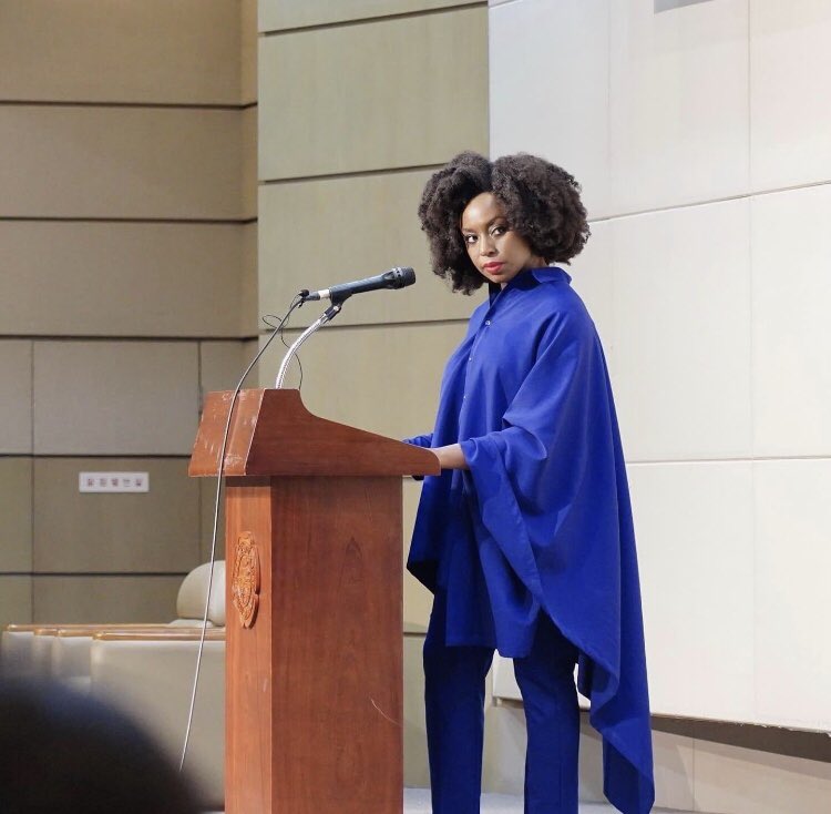 Chimamanda Adichie Says Many Nigerians Feel Deeply Cheated by INEC 