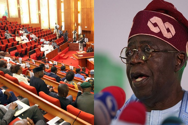 Niger Coup: Why Nigerian Senators Rejected Tinubu's Request for Troops Deployment