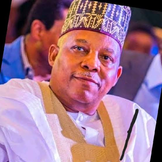 PEPT: We Owe Our Victory To Nigerians -  Shettima