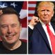 Elon Musk - Trump Conversation