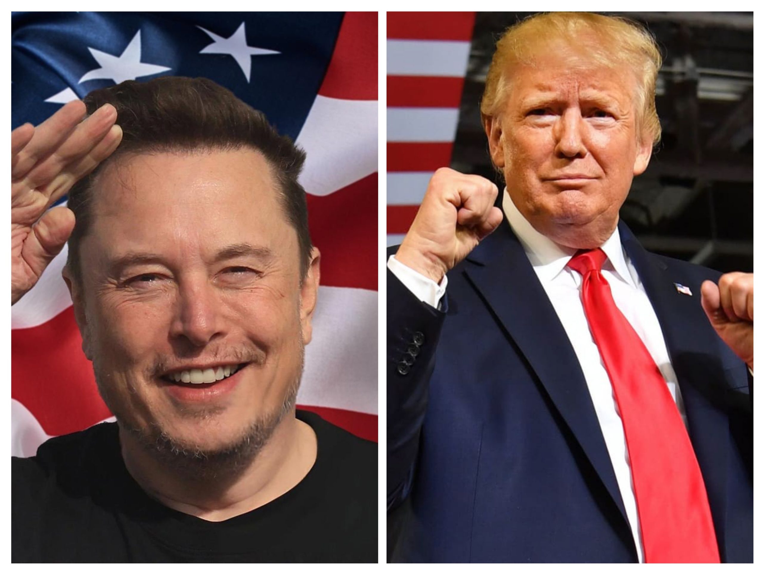 Elon Musk - Trump Conversation