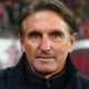 German Coach Bruno Labbadia Appointed as 37th Head Coach of Nigeria's Super Eagles