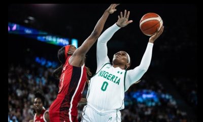 D'Tigress'