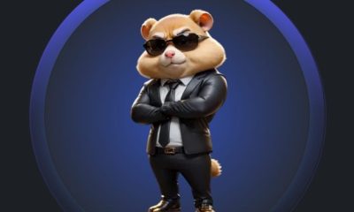 Hamster Kombat Daily Combo